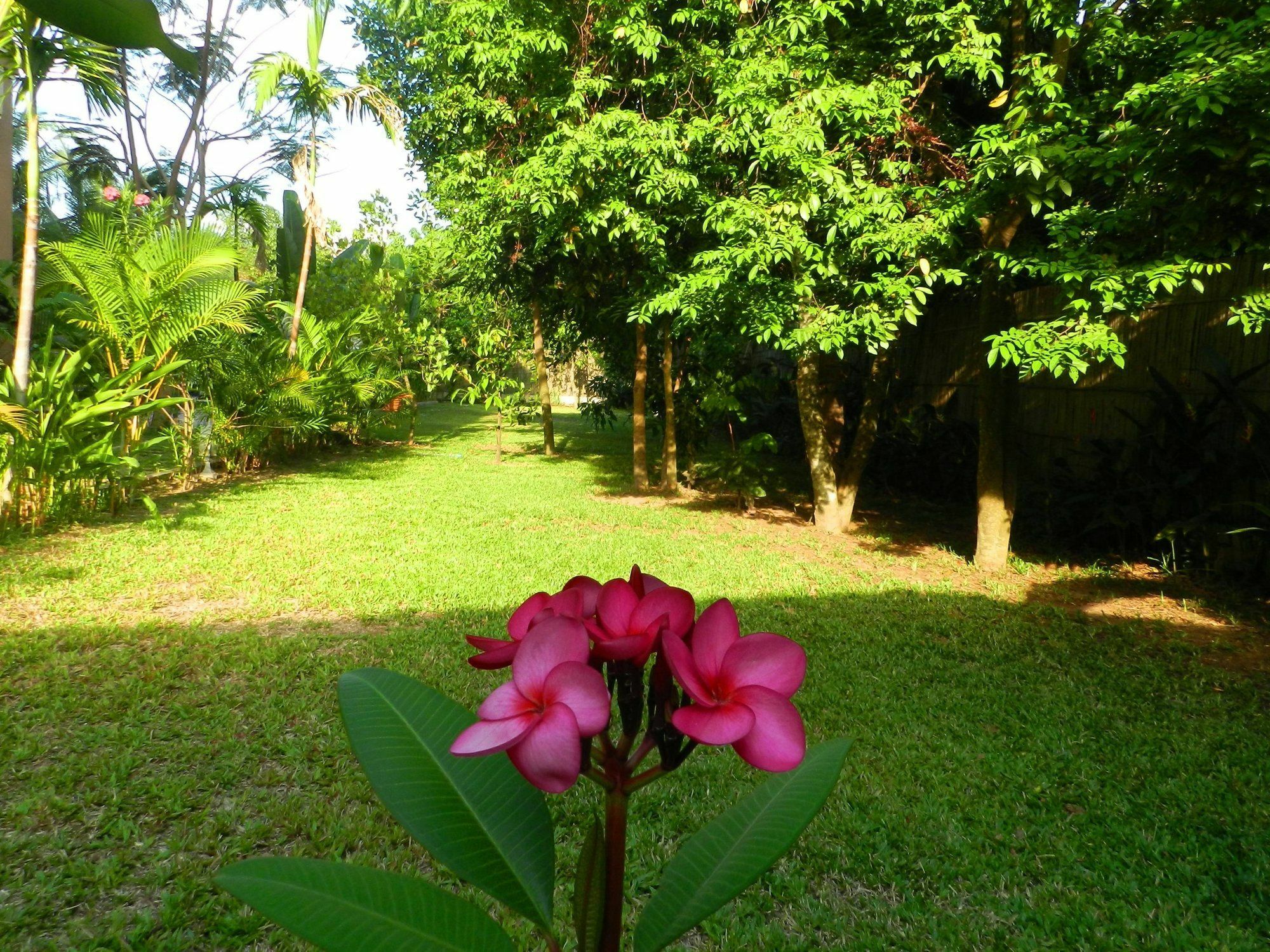 Villa Nissa Ciudad de Siem Riep Exterior foto